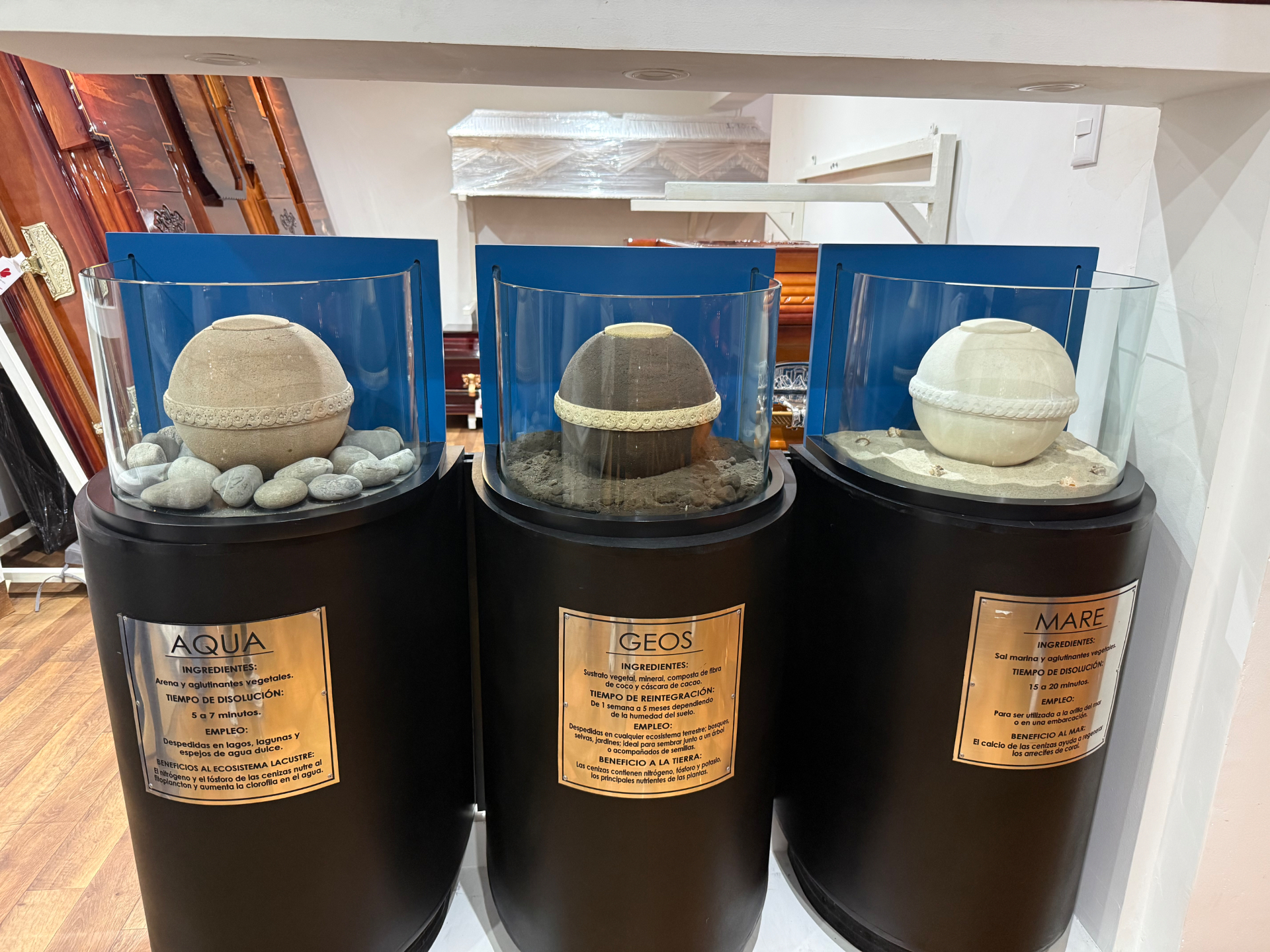Urnas esféricas biodegradables Aqua, Geos y Mare en exhibición